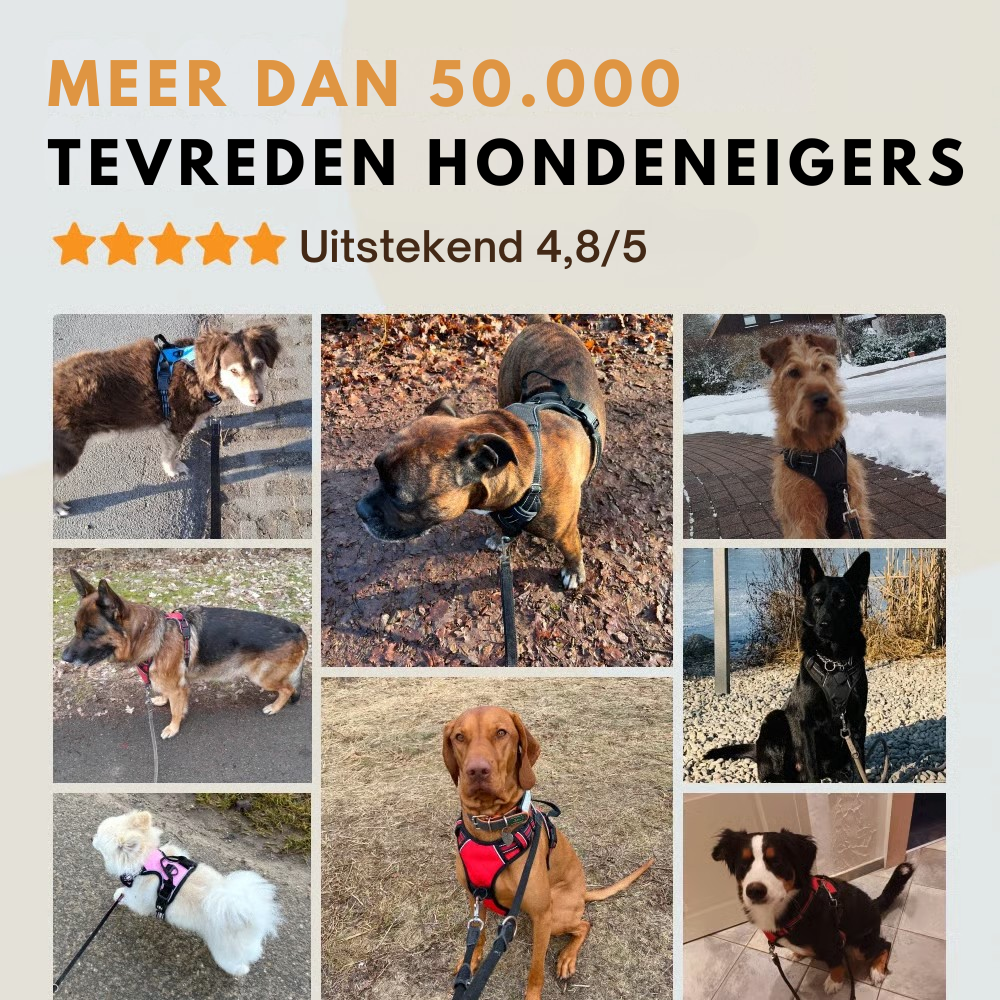 Mooibelle Anti-trek-harnas