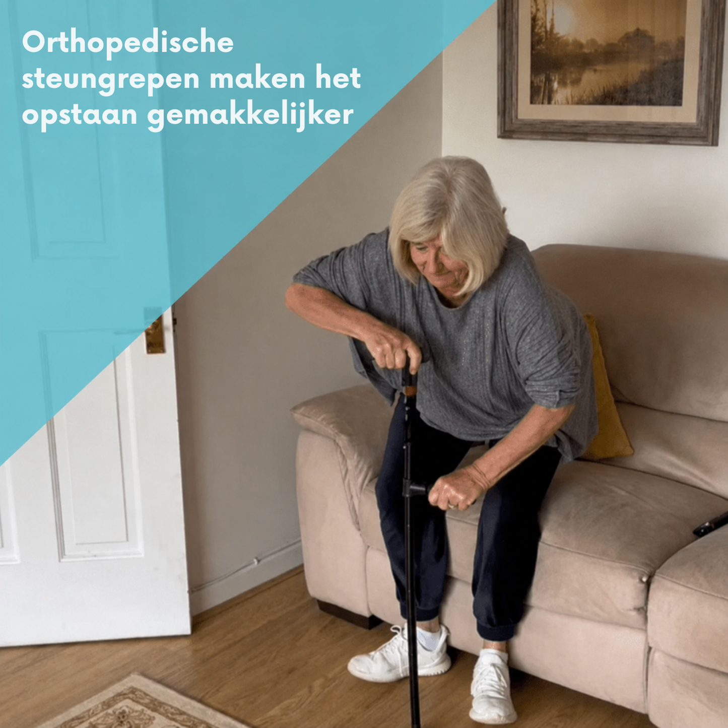 Orthopedische Steunstok