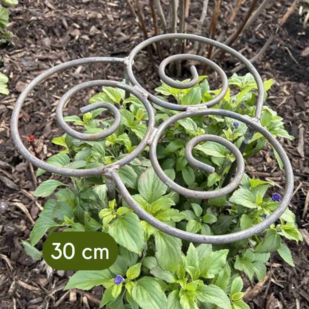 🌸 Plantenstok – Want mooie bloemen hebben een beetje steun nodig