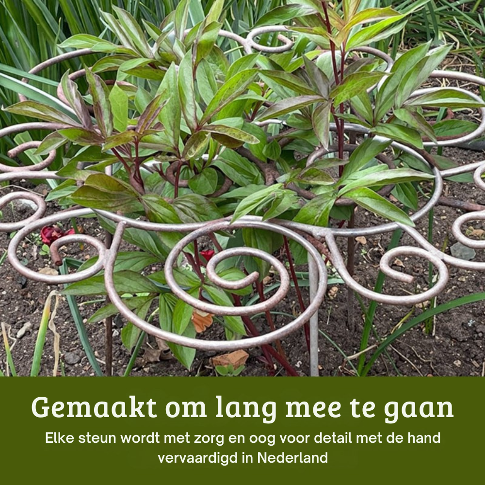 🌸 Plantenstok – Want mooie bloemen hebben een beetje steun nodig
