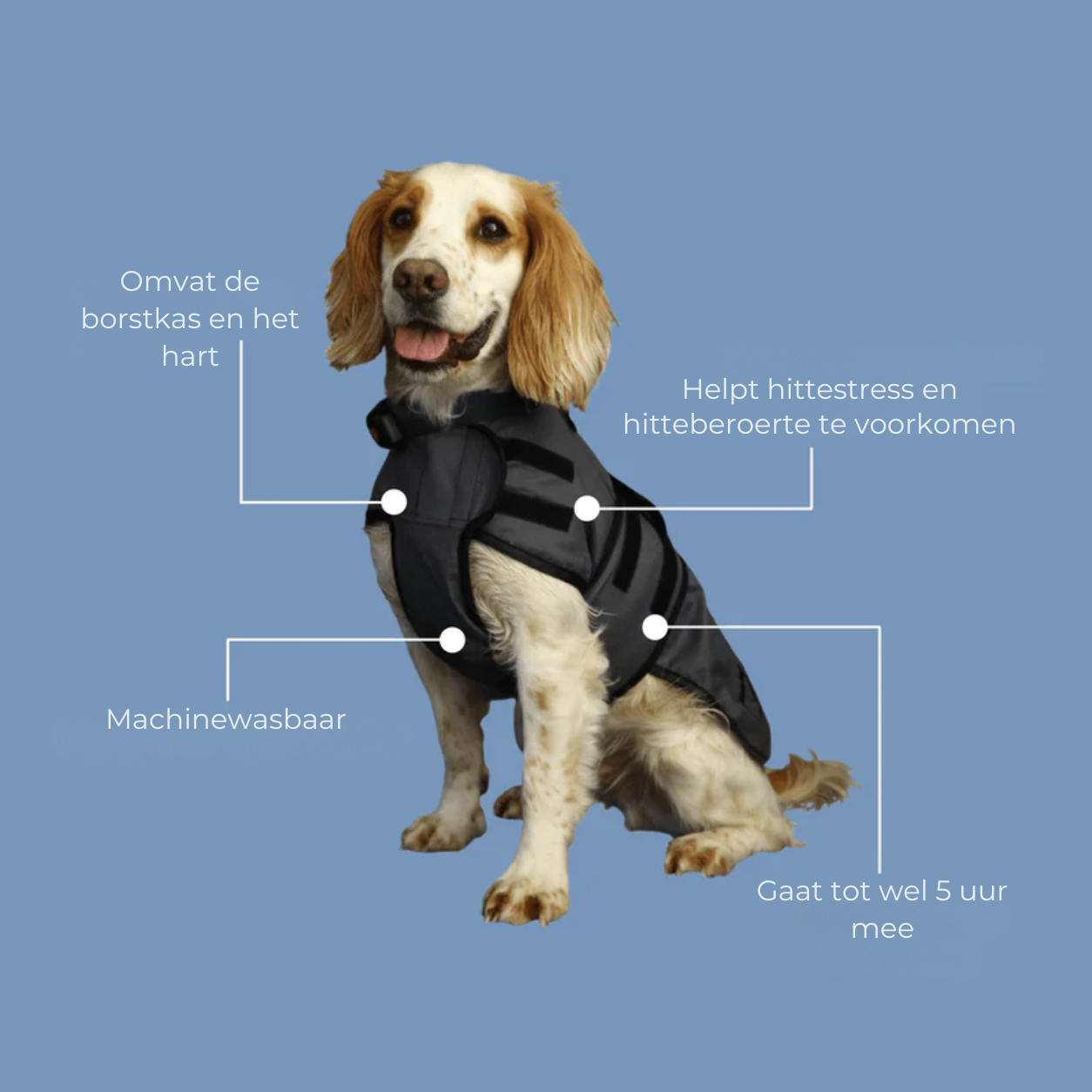 Luxe verkoelende jas voor honden