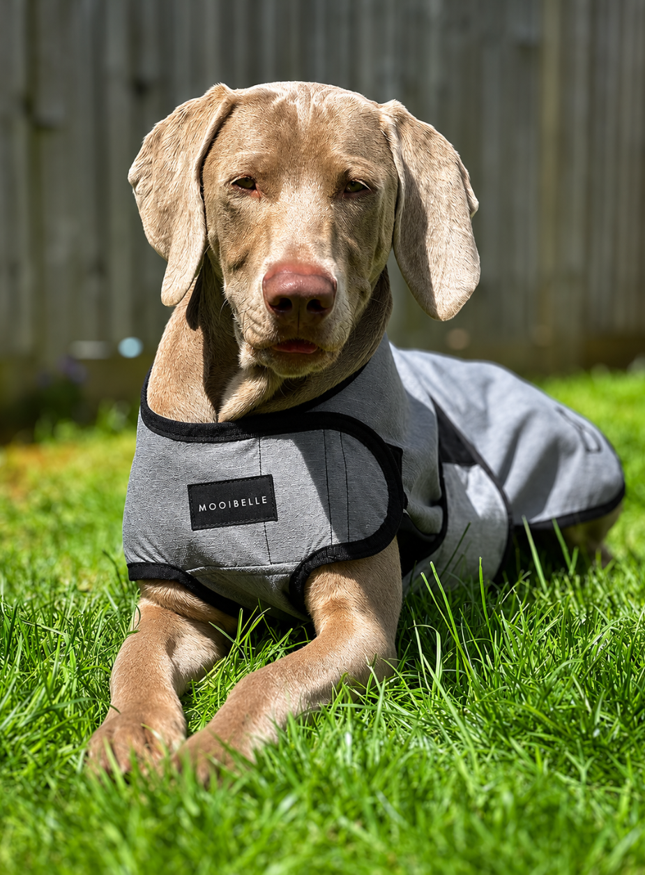 Luxe verkoelende jas voor honden