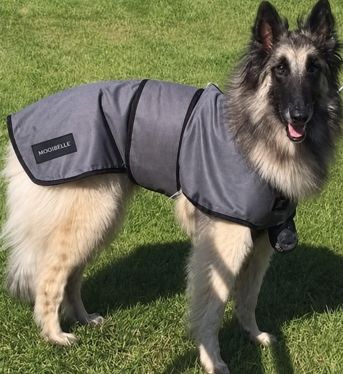 Luxe verkoelende jas voor honden