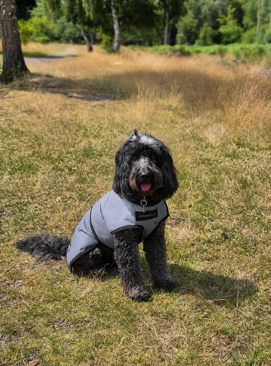 Luxe verkoelende jas voor honden