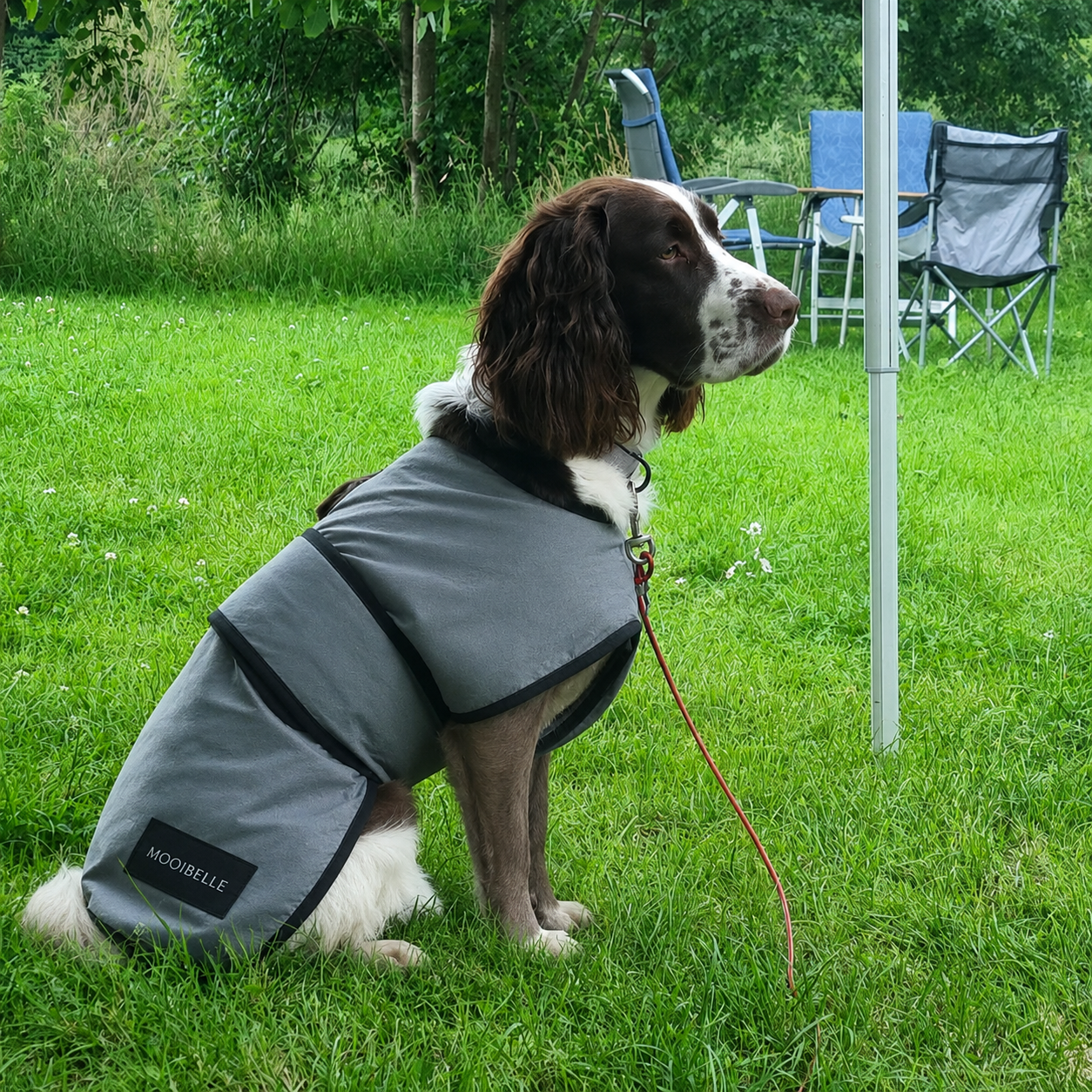 Luxe verkoelende jas voor honden