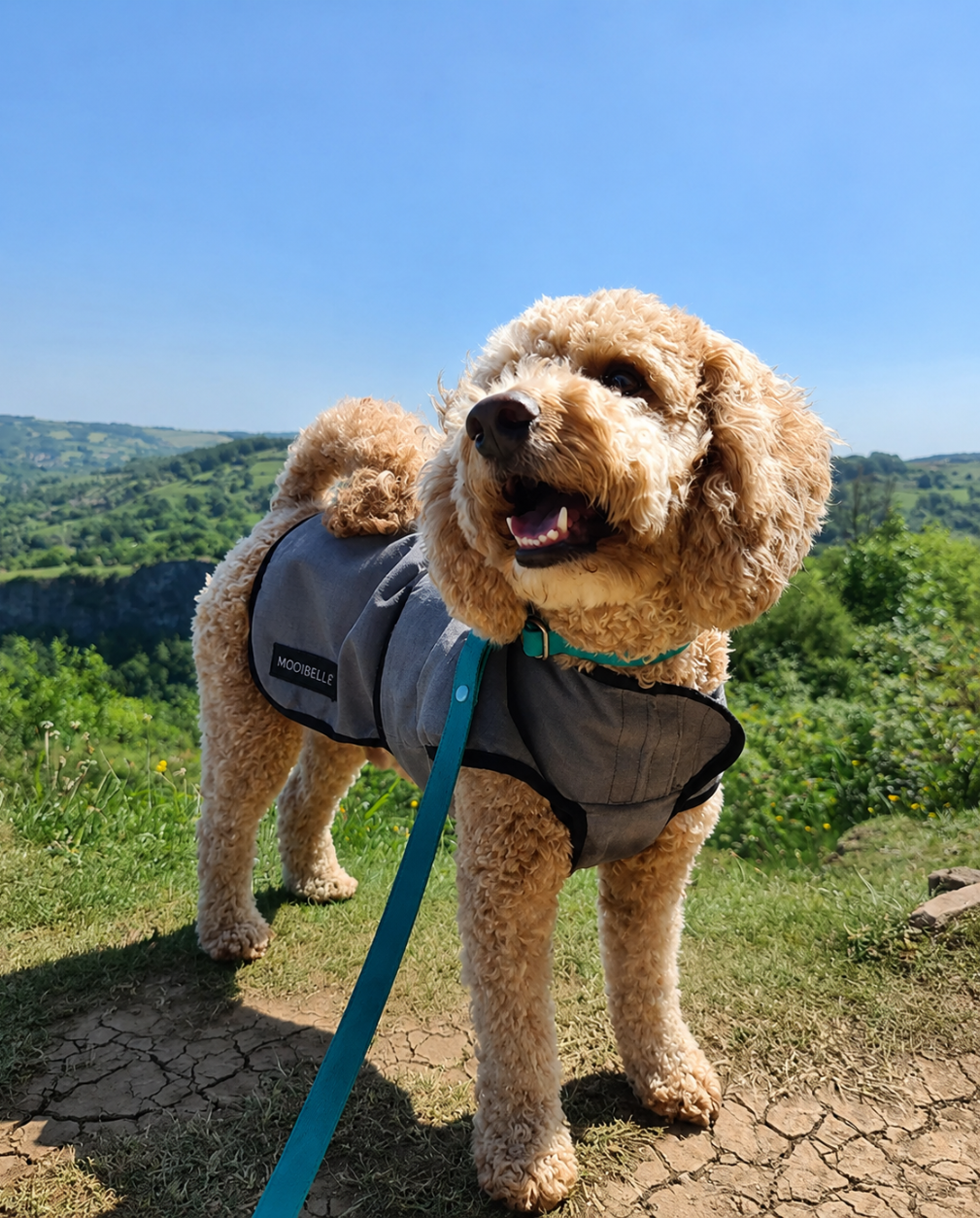 Luxe verkoelende jas voor honden