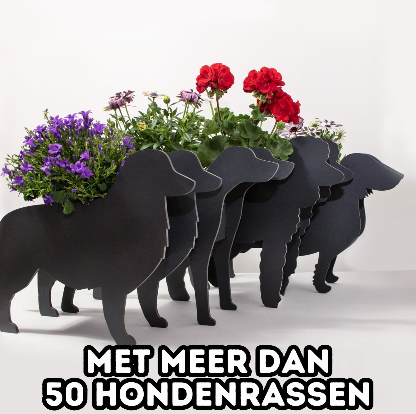 Plantenhond