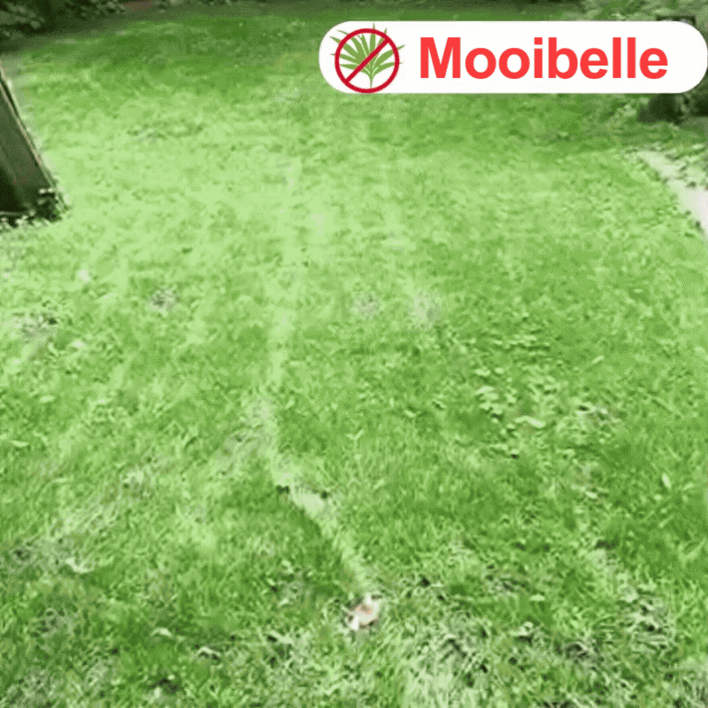 Mooibelle 2-in-1 Max Power Onkruidbestrijder | Ziet onkruid al binnen 6 uur afsterven!