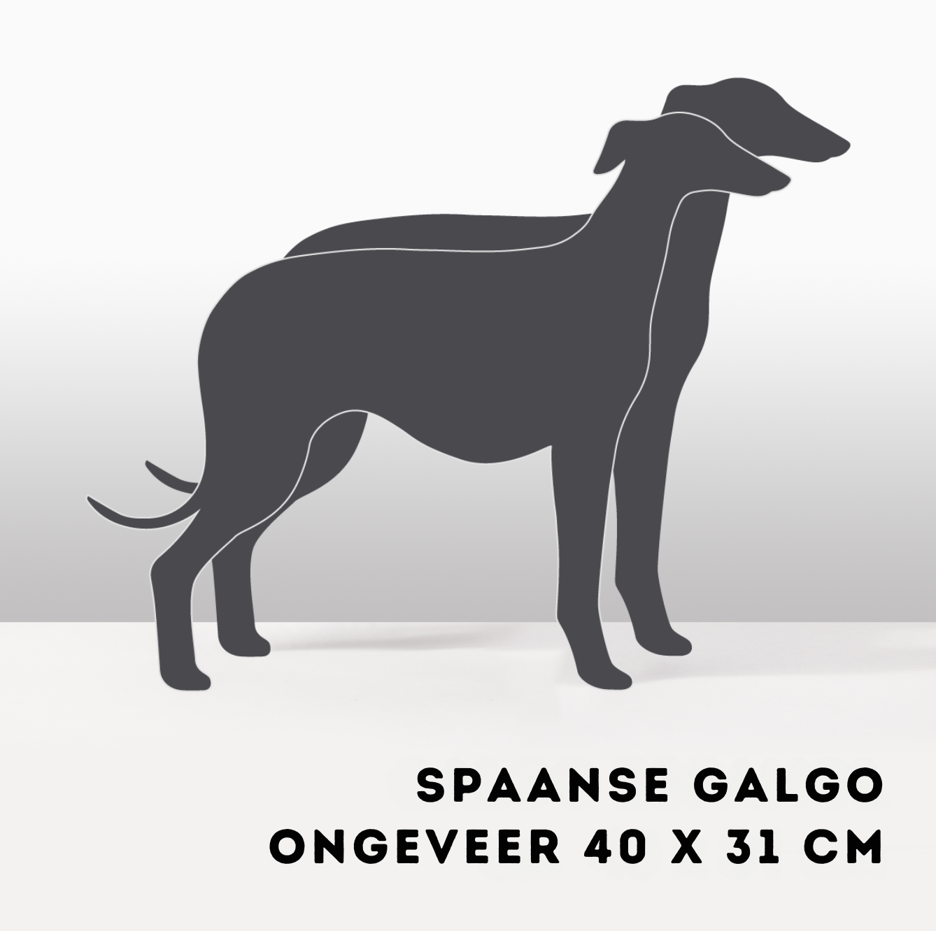Plantenhond