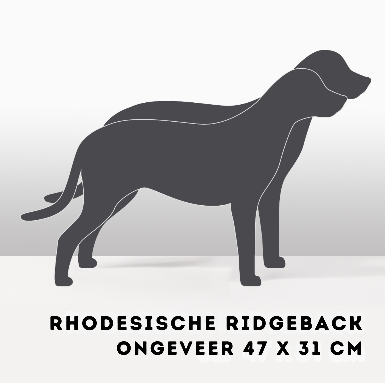 Plantenhond