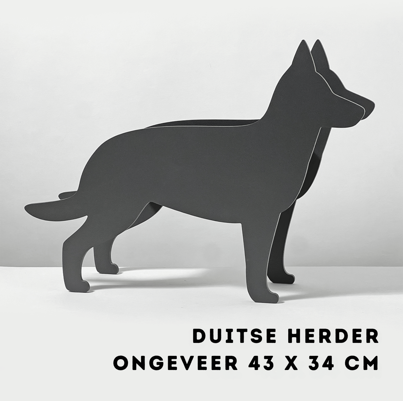 Plantenhond