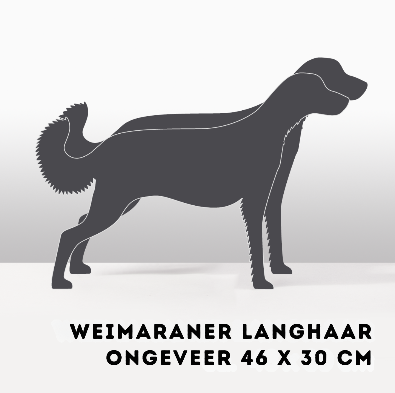 Plantenhond