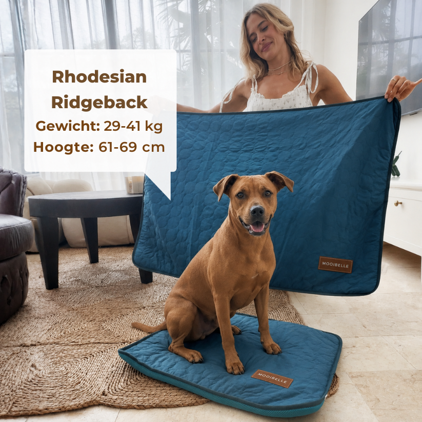 Mooibelle Koelmat