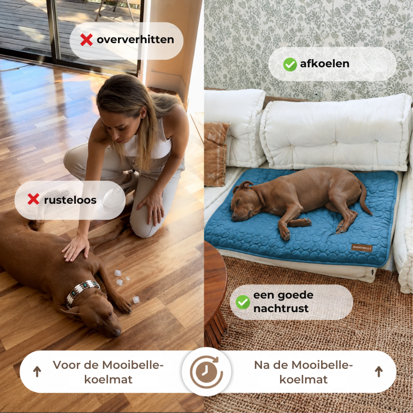 Mooibelle Koelmat