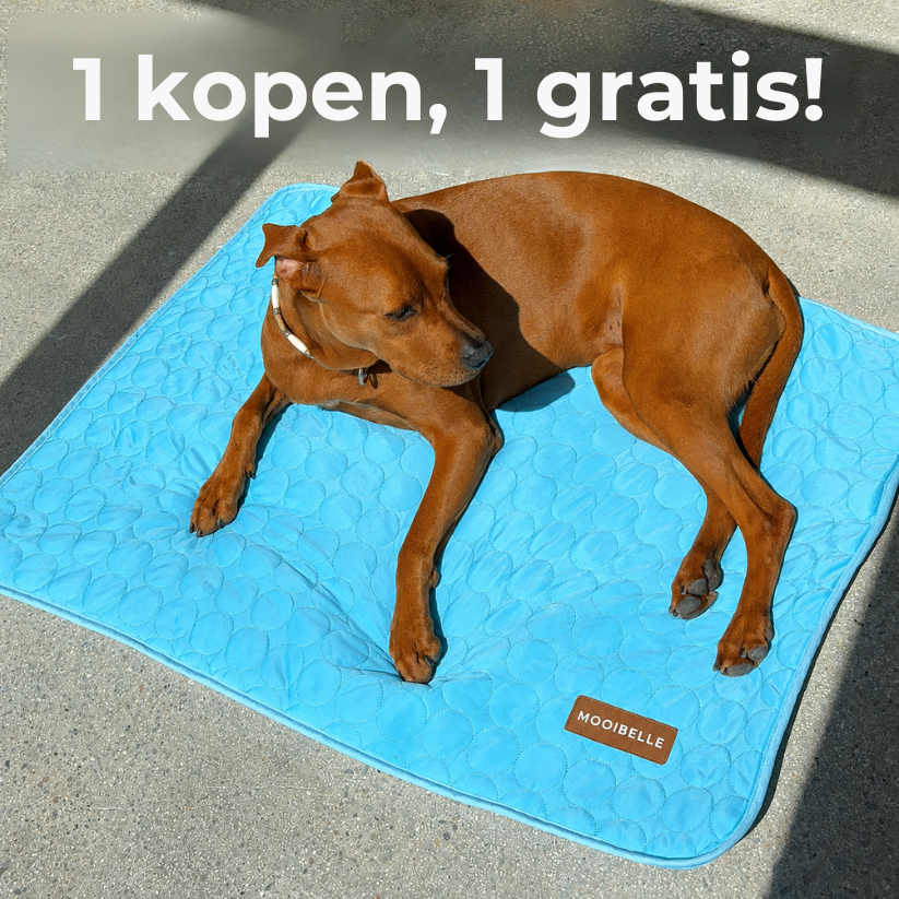 Mooibelle Koelmat