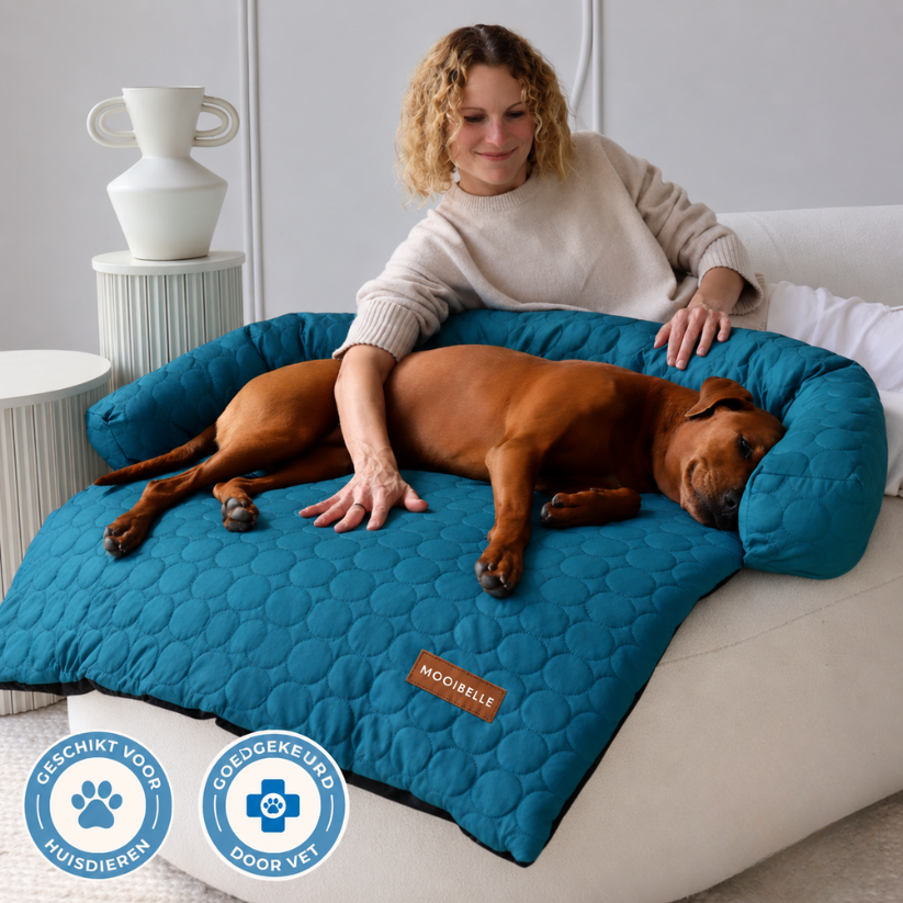 Mooibelle koelbed (4x zo effectief)