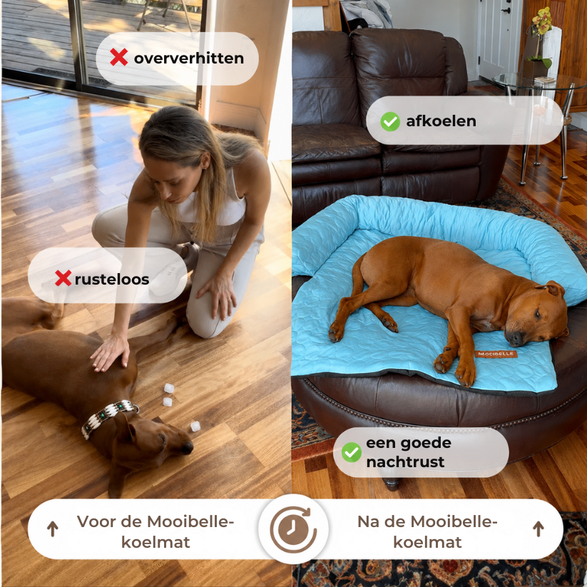 Mooibelle koelbed (4x zo effectief)