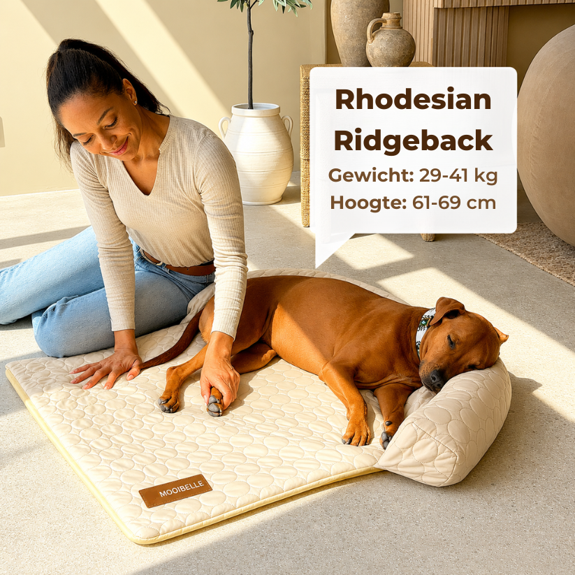 Mooibelle koelbed (4x zo effectief)