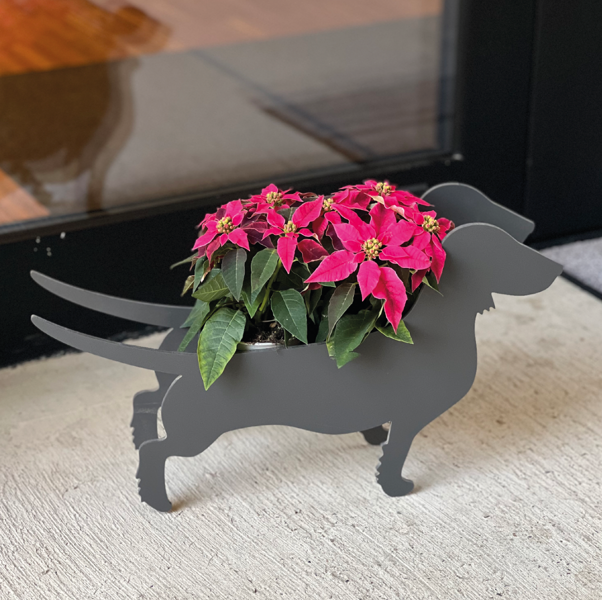 Plantenhond