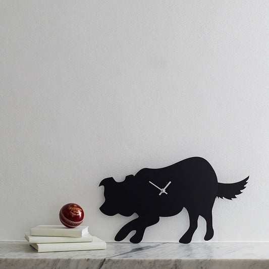 Border Collie-klok met kwispelende staart