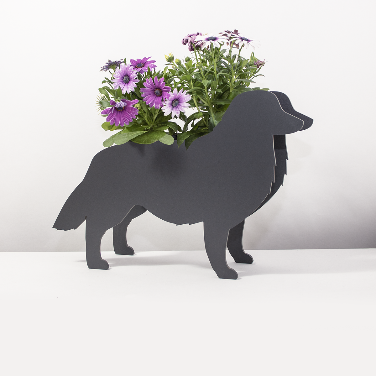 Plantenhond