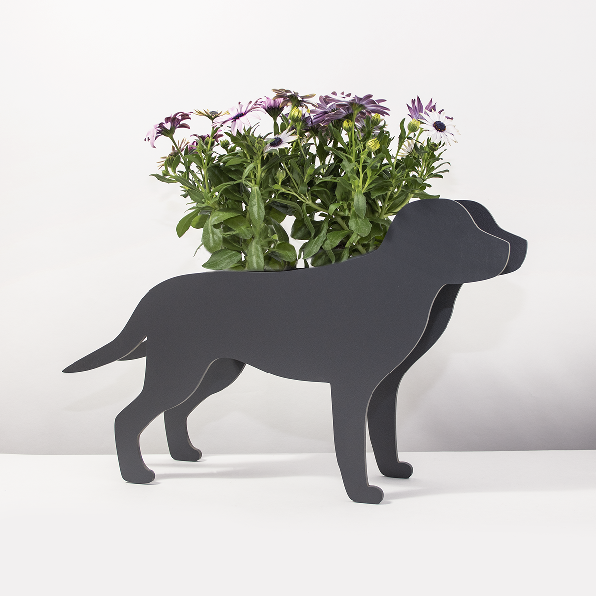 Plantenhond