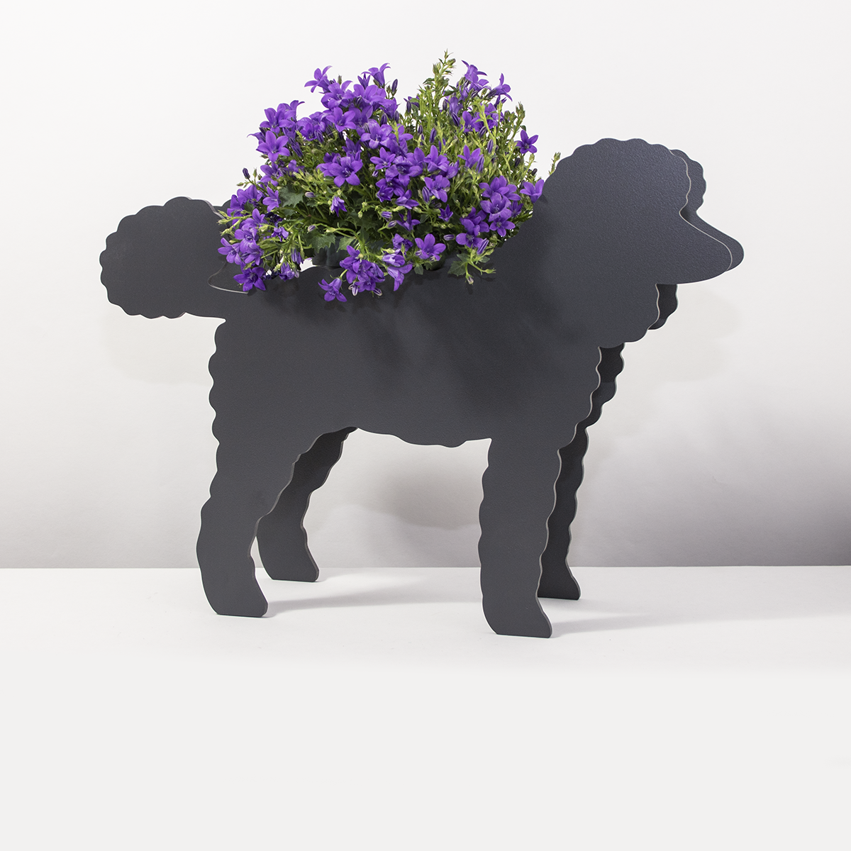 Plantenhond