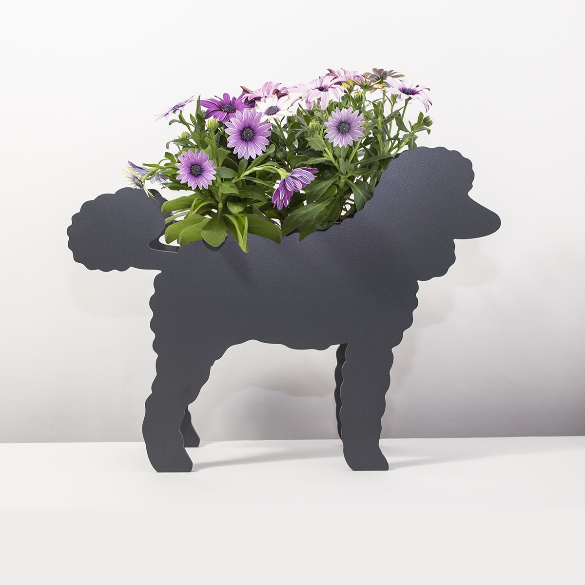 Plantenhond
