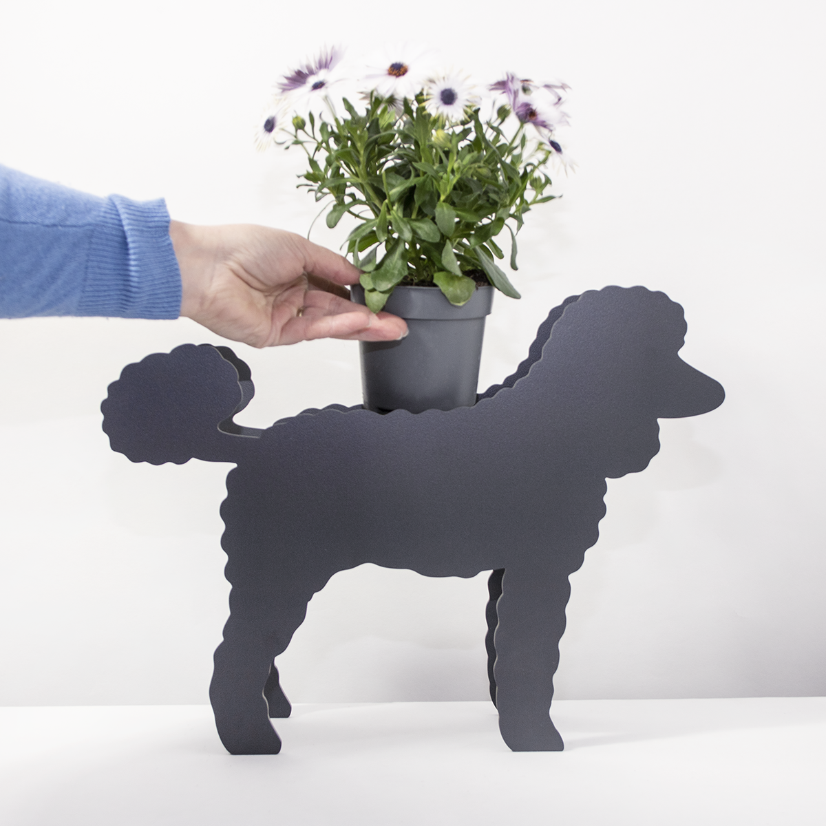 Plantenhond