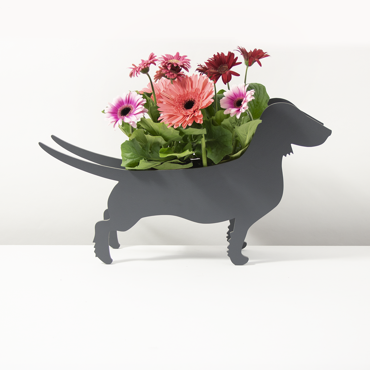 Plantenhond